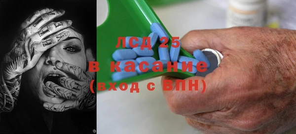гидра Костерёво