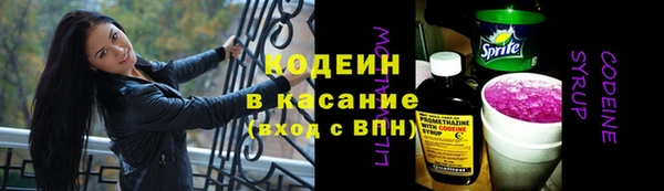 гидра Костерёво