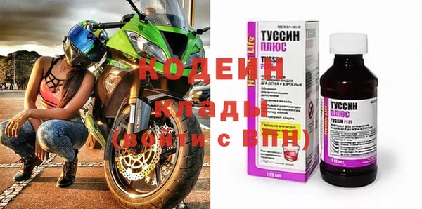 трава Корсаков