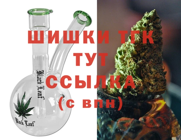 гидра Костерёво