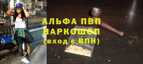 трава Корсаков