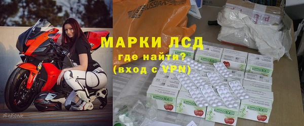 трава Корсаков