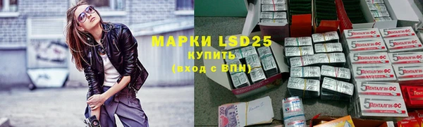 гидра Костерёво