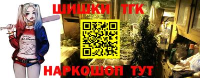мдпв Мариинск