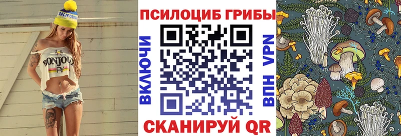 где купить   Евпатория  Галлюциногенные грибы мухоморы 