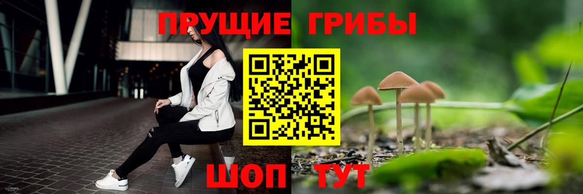 Псилоцибиновые грибы мицелий Евпатория