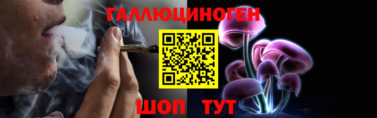 Евпатория  Псилоцибиновые грибы Psilocybe  Вход с VPN 